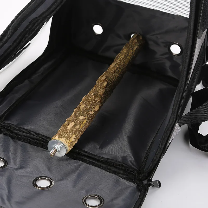 حقيبة ظهر محمولة قابلة للطي لن - مراجعة Luxury Bags Price وسعره