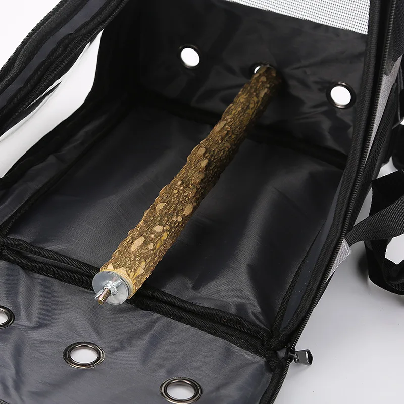 في الهواء الطلق الببغاء على ظه - مراجعة Luxury Bags Price وسعره